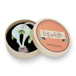 Balancing Act Ibex Brooch^Erstwilder Clearance