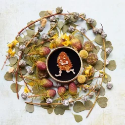 Banksia Man Brooch^Erstwilder Discount