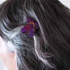 Child Of The Air Hair Clips Set - 2 Piece^Erstwilder Outlet