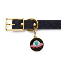 Close Encounter Enamel Pet Charm^Erstwilder Clearance