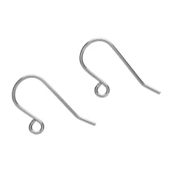Earring Hooks (Steel) - 1 Pair^Erstwilder Hot