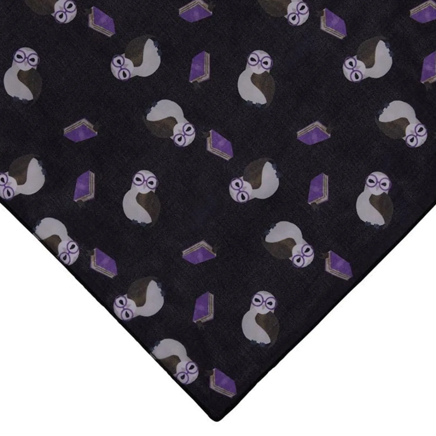 Studious Snow Owl Head Scarf^Erstwilder Best